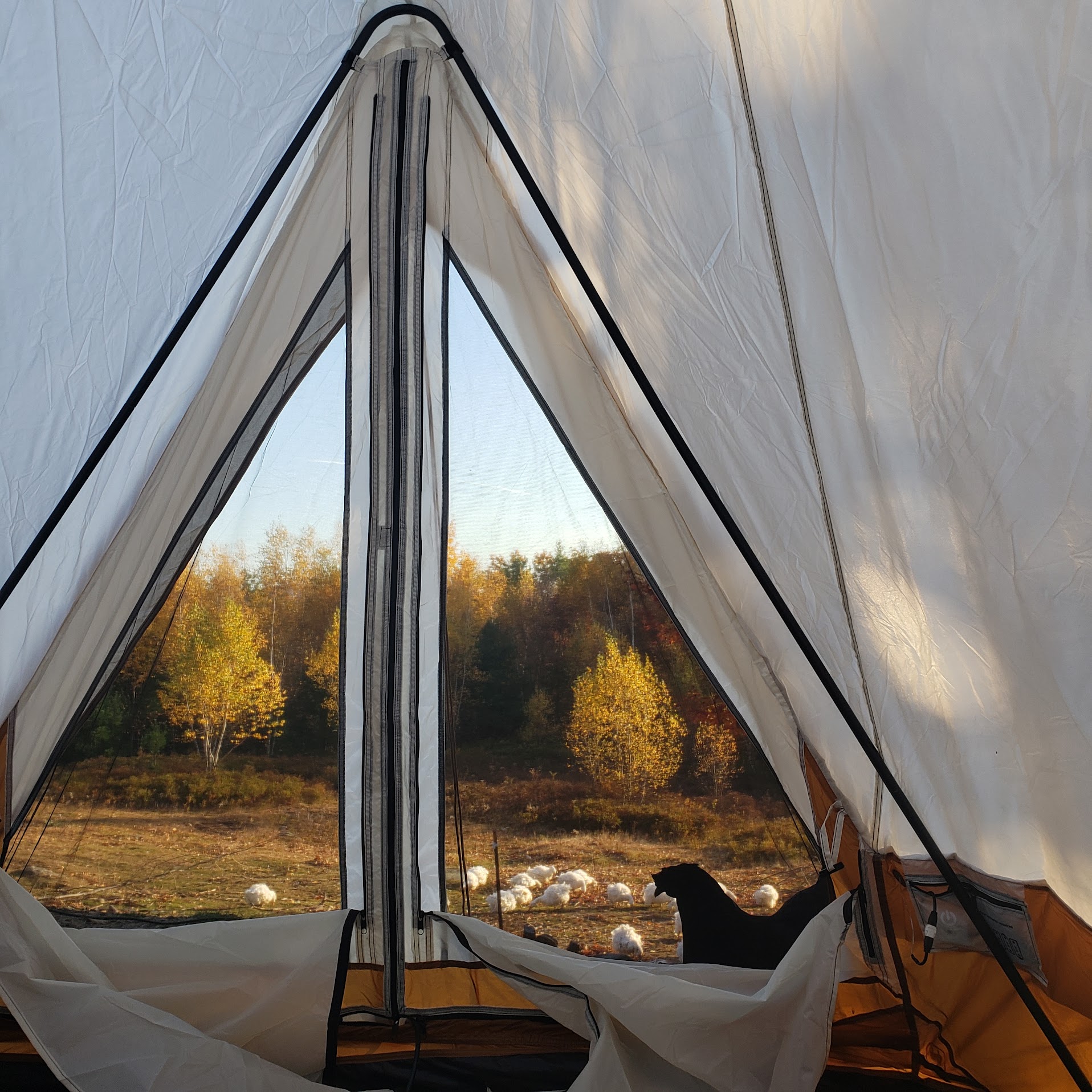Inside tent accommodation